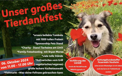 Tierdankfest